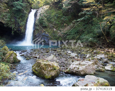 浄蓮の滝 37416319