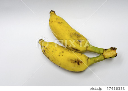 Two bananas ripened on a white background. 37416338