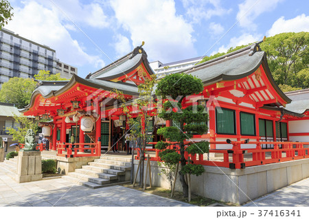 兵庫県・生田神社 37416341