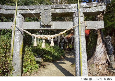熊本県八代郡氷川町の立神熊野座神 37416365
