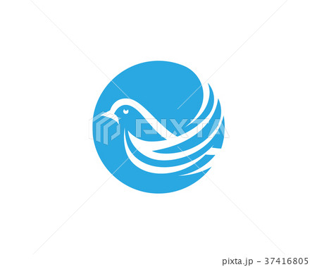 Bird Dove Logo Template 37416805