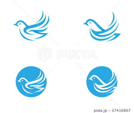 Bird Dove Logo Template 37416807
