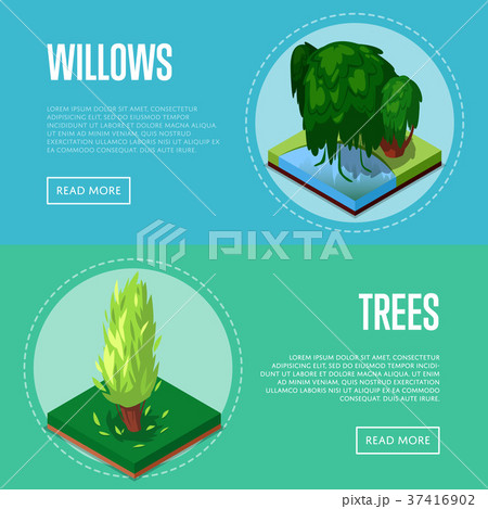 Decorative plants for park design posters 37416902