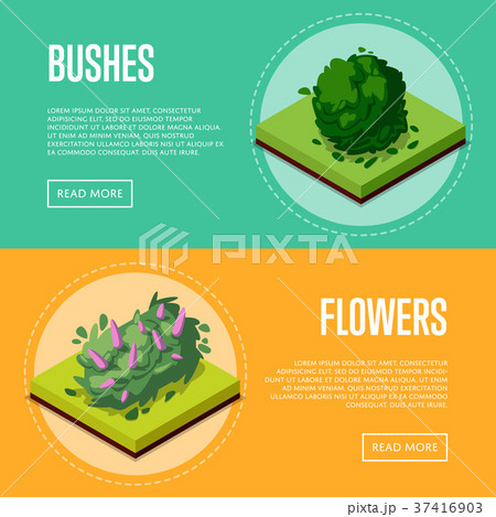 Bushes and flowers for park design posters Bushes and flowers for park design posters 37416903