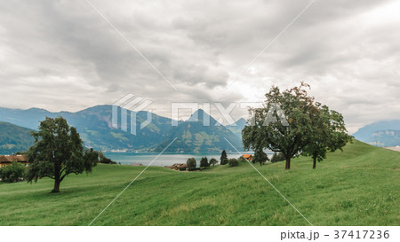 lucerne lake vierwaldstaettersee switzerland lucerne lake vierwaldstaettersee switzerland 37417236