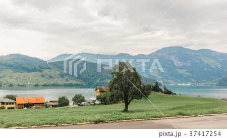 lucerne lake vierwaldstaettersee switzerland lucerne lake vierwaldstaettersee switzerland 37417254