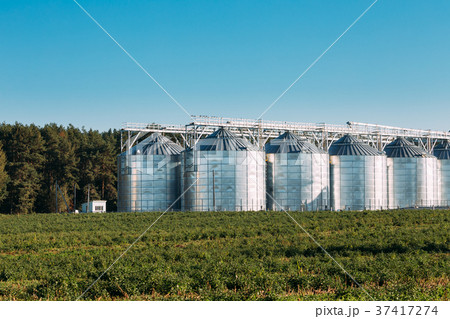 Modern Granary, Grain-drying Complex, Commercial Modern Granary, Grain-drying Complex, Commercial 37417274