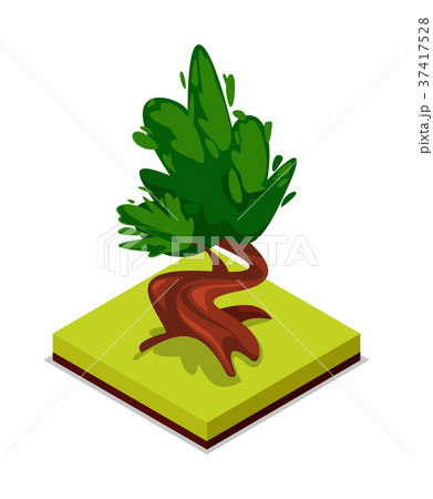 Green chestnut tree isometric 3D icon 37417528
