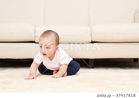 0歳児　男の子 37417818
