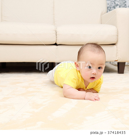 乳児 男の子 乳児 男の子 37418435