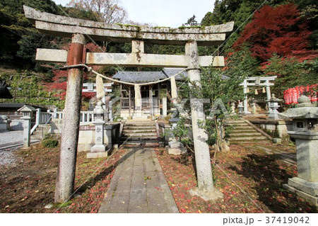 木之本 木之本 37419042