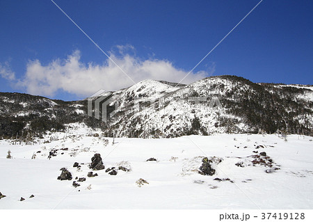 北八ヶ岳 坪庭を見る 北八ヶ岳 坪庭を見る 37419128