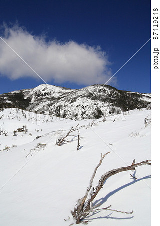 北八ヶ岳 坪庭付近 北八ヶ岳 坪庭付近 37419248