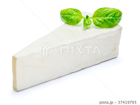Piece of brie or camambert cheese on a white Piece of brie or camambert cheese on a white 37419705