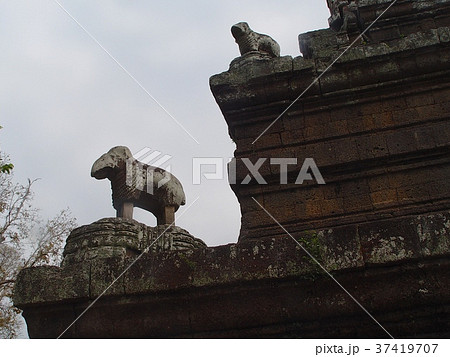 鼻の欠けた象の石像(パプーオン寺院 アンコール遺跡群~アンコール・トム/シェムリアップ・カンボジア) 鼻の欠けた象の石像(パプーオン寺院 アンコール遺跡群~アンコール・トム/シェムリアップ・カンボジア) 37419707