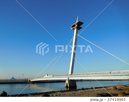 早朝の葛西臨海公園  葛西渚橋 37419965