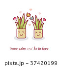 House plants. Couple. Vector illustration. 37420199
