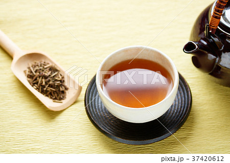 ほうじ茶 ほうじ茶 37420612