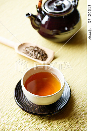 ほうじ茶 ほうじ茶 37420613