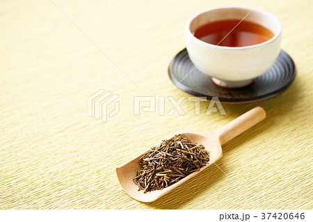 ほうじ茶 ほうじ茶 37420646