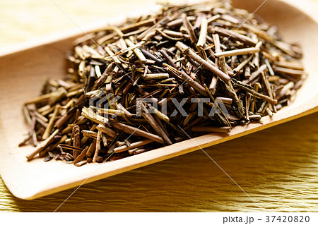 ほうじ茶 ほうじ茶 37420820