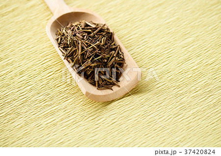 ほうじ茶 37420824