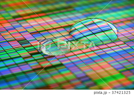 Amplifying Colorful Sanger Sequencing Amplifying Colorful Sanger Sequencing 37421325