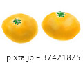 果物 イラスト みかん 37421825