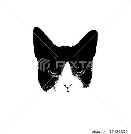 猫 ねこ ネコ 37421839