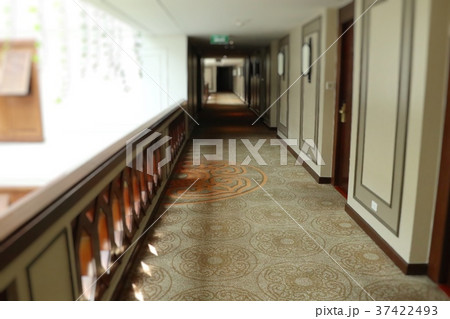 Walkways in the hotel Walkways in the hotel 37422493