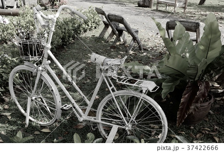 Vintage bicycles decoration garden Vintage bicycles decoration garden 37422666