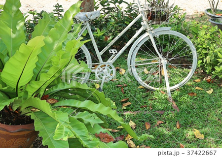 Vintage bicycles decoration garden Vintage bicycles decoration garden 37422667