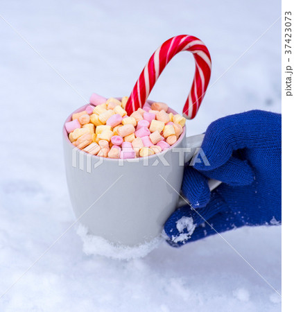 gray mug with hot chocolate and marshmallow 37423073