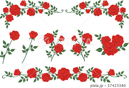 Illustration With Red Rose Ornament Line Stock Illustration