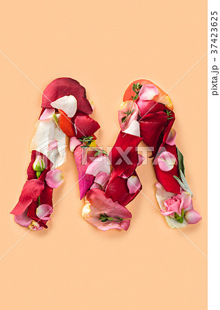 Letter M made from red roses and petals isolated 37423625