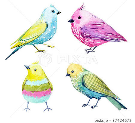 Watercolor Bird Setのイラスト素材