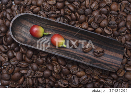 コーヒー 珈琲 カフェ 37425292