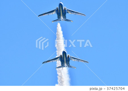 ブルーインパルス 37425704