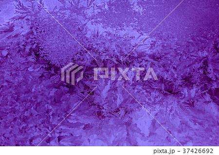 Abstraction Photography Frost Texture Violet Color 37426692
