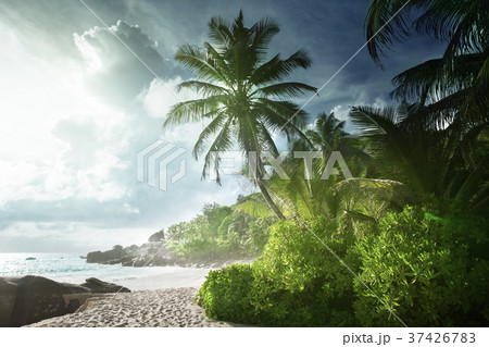 sunset on Seychelles beach sunset on Seychelles beach 37426783