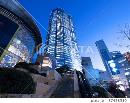 夕暮れの六本木 夕暮れの六本木 37428550