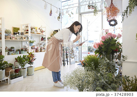 花屋 店 商店 37428903