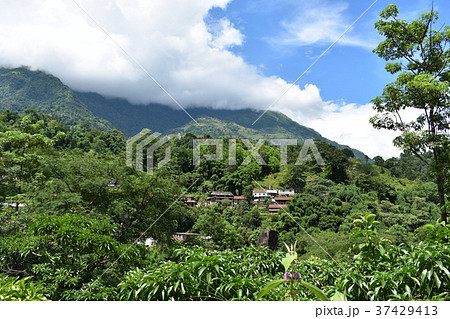 ネパール アンナプルナ 山の風景 ネパール アンナプルナ 山の風景 37429413