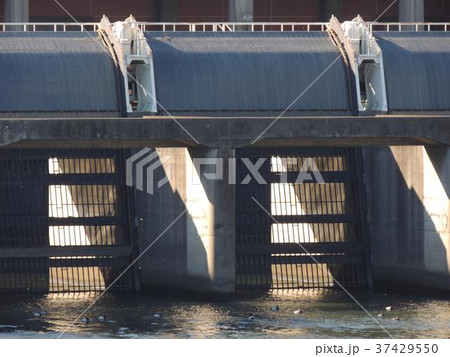 新芝川排水機場 新芝川排水機場 37429550