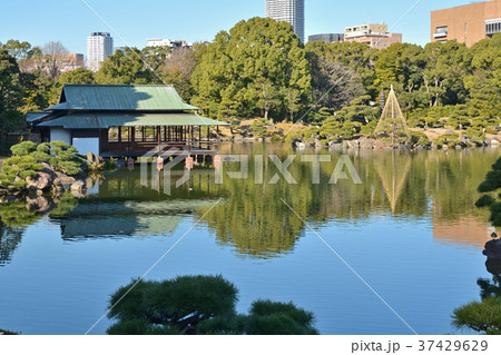清澄庭園：大泉水と涼亭 37429629