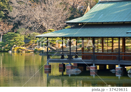 清澄庭園：大泉水と涼亭 37429631
