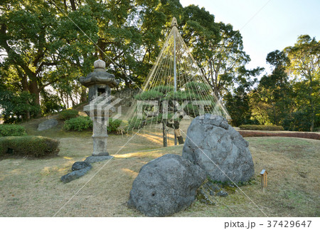 清澄庭園：築山(富士山) 37429647