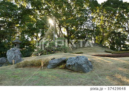 清澄庭園：築山(富士山) 37429648