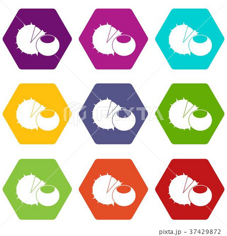 Hazelnuts icon set color hexahedron 37429872