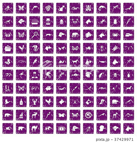 100 animals icons set grunge purple 37429971